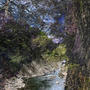Florest/WeAreWoods