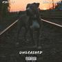 UNLEASHED (Explicit)