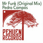 Mr Funk (Original Mix)