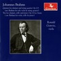 BRAHMS, J.: Quintet for Clarinet and String Quartet, Op. 115 / Trio for Viola, Cello and Piano, Op. 114 (Gorevic, E. Lewis, R. Lewis, Naegele, Gordon)