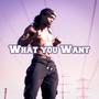 What You Want (Explicit)