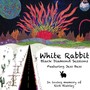 White Rabbit (feat. Jess Bess)