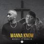 Wanna Know (feat. Rona1d)