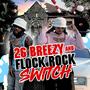 Switch (feat. FlockRock) [Explicit]