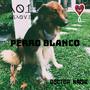 Perro blanco (feat. Losaquis) [Explicit]