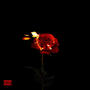 BURNING ROSES (Explicit)