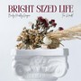 Bright Sized Life (feat. Tim Wendel)