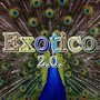 Exótico 2.0 (Explicit)