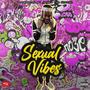 Sexual Vibes (Explicit)