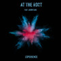 At The Root Experience (Remixes)