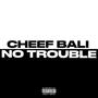 No Trouble (Explicit)