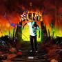 SILENT (Explicit)