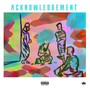 Acknowledgement (Explicit)