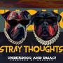 Stray Thoughts (feat. DMAC!) [Explicit]