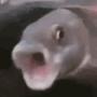 Fish Mafia (Explicit)