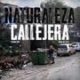 Naturaleza Callejera (feat. Relikia Mic) [Explicit]