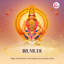 Irumudi