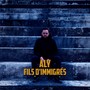 Fils d'immigrés (Aly)