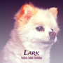 Lark (Explicit)