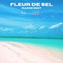 Fleur de sel (feat. Stereotic) [Radio Edit]