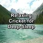 Relaxing Cricket for Deep Sleep