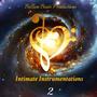 Intimate Instrumentations 2