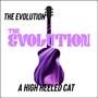 A High Heeled Cat
