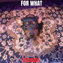 FOR WHAT (Explicit)
