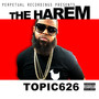 The Harem (Explicit)