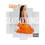 Glass Ceilings (Explicit)