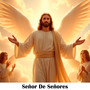 Señor de Señores