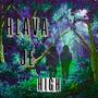 HLAVA JE HIGH (feat. May808) [Explicit]