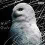 Night Owl (Explicit)