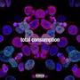 Total Consumption (Explicit)