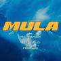MULA (Explicit)