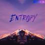 Entropy