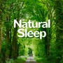 Natural Sleep - Warm and Relaxing Music for Sleep Insomnia. Soothing Music for Sleep with Relaxing Nature Sounds. Relaxing Music Sleep and Background Music. True Nature Sound to Help You Sleep