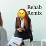 Rehab (remix) (DHS MIX) [Explicit]