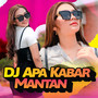 DJ Apa Kabar Mantan (Ricky Fm)