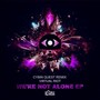 We're Not Alone (Cybin Quest Remix)