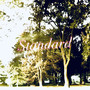 standard (Explicit)