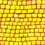 Yellow Brick Road (Explicit)