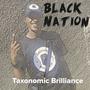 Black Nation (feat. Sir Bigga)