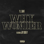 Why Wonder (Explicit)