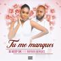 Tu me manques (feat. Nayara Mingas) [Dk Production] [Explicit]