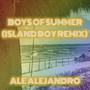 Boys of Summer (Island Boy Remix)