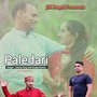 Paledari