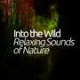 Into the Wild: Relaxing Sounds of Nature