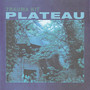 PLATEAU (Explicit)