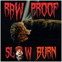 Slow Burn (WIL E HAZE Diss) [Explicit]